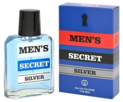 SECRET SILVER 95мл муж 4258